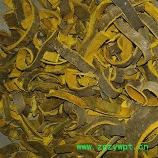 川黄柏 大统 产地 四川省攀枝花市仁和区