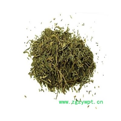 煜庭药业 侧柏叶  柏叶、丛柏叶