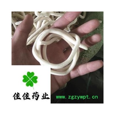 小通草 正品 不加重 净货 产地 四川省 【供应各类中药材】小通草 大通草 量大从优