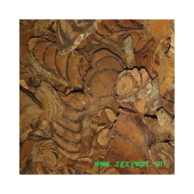 鸡血藤 大片 产地 广西壮族自治区玉林市玉州区