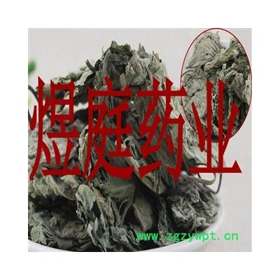 煜庭药业 楮叶 褚桃叶 楮树叶