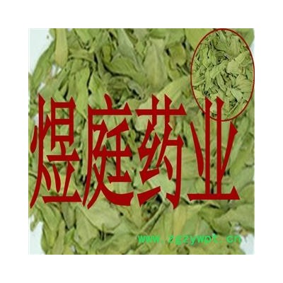 煜庭药业 罗布麻叶