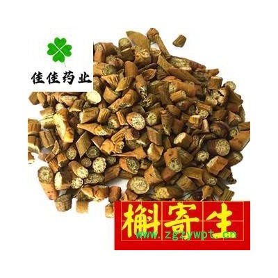 槲寄生 选装 正品槲寄生 实物图 产地直销 桑寄生 供应大货 产地 辽宁省