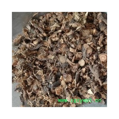 金雀根 ，金雀根片，锦鸡儿根片，统片 产地 河南省