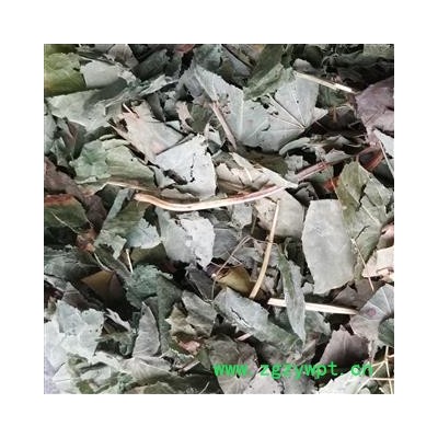 淫羊藿 ，心叶淫羊藿，仙灵脾，统段， 产地 河南省，过药检