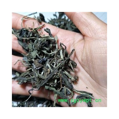 大青叶 大青叶选段 产地 山东省