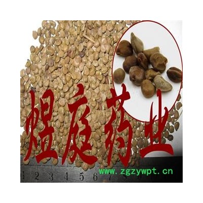 煜庭药业 望江南