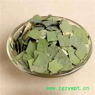 荷叶 荷叶中方块