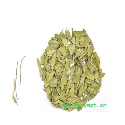 罗布麻 小罗布麻叶统货 产地 新疆维吾尔自治区吐鲁番地区托克逊县