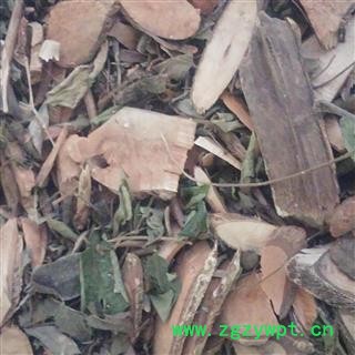 漆大姑 统 产地 广西壮族自治区梧州市长洲区