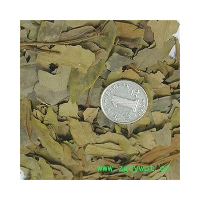 煜庭药业 八角叶