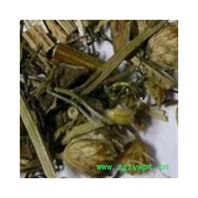 煜庭药业 西河柳 垂丝柳