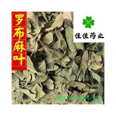 罗布麻叶 新货 颜色好 供应各种中药材 产地 新疆维吾尔自治区