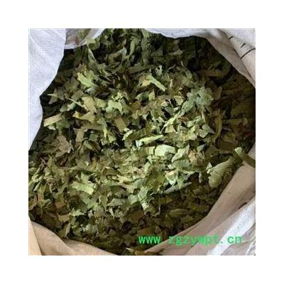 淫羊藿 净货 产地 甘肃省