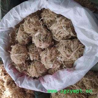 淡竹茹 选装竹茹球 产地 广西壮族自治区玉林市容县