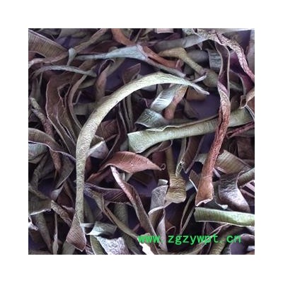 灵吉药业  芦荟叶  精选 正品  芦荟叶