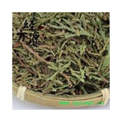 侧柏叶B  侧柏叶统货 产地 山东省