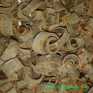 川朴 大统 产地 四川省攀枝花市盐边县