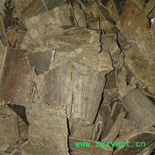 杜仲 统 产地 四川省广元市青川县