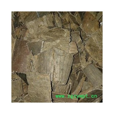 杜仲 统 产地 四川省广元市青川县