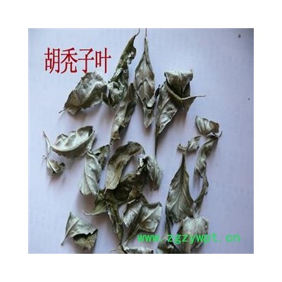 煜庭药业 胡秃子叶 厚的 胡颓子叶 胡颓子 别称 蒲颓叶 胡秃子 鸡卵子 幽谷巨人 半春子 甜棒槌 雀儿酥 羊奶子 羊奶奶 牛奶咪