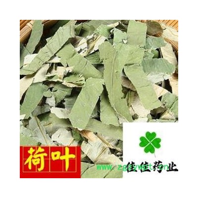 荷叶 选片 长条形 新货 味道浓 颜色好 产地 山东省 批发各类中药材