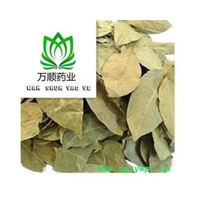 香叶  新货颜色好 质量好 价格低  产地 广西壮族自治区