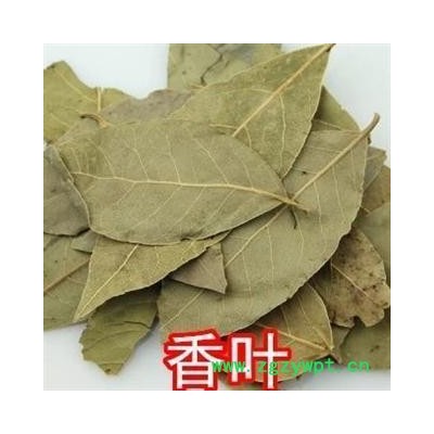 香叶 精品香叶 颜色好气味浓郁 产地直销 产地 广西壮族自治区