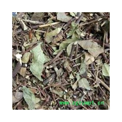 络石藤 络石藤统段 今年新货 地道药材 产地 河南省