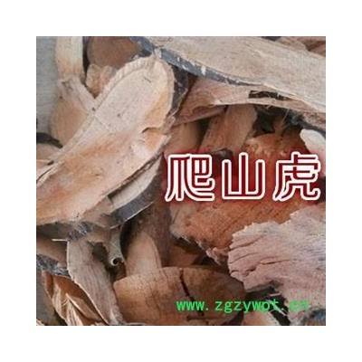 小丽百草行 三角风 爬山虎 爬墙虎 小叶红藤 中草药