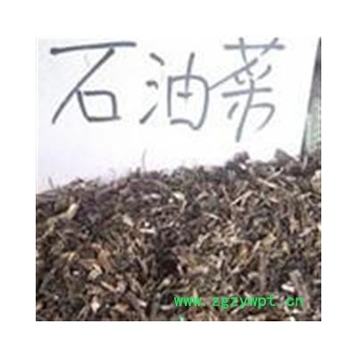 小丽百草行石苋菜  石油菜 打不死