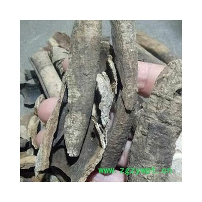 诺源药材行中药材 厚皮救必应 白银树皮 白木香 铁冬青