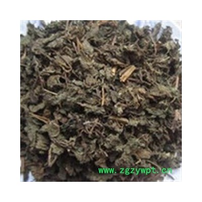 安祁名药紫苏叶