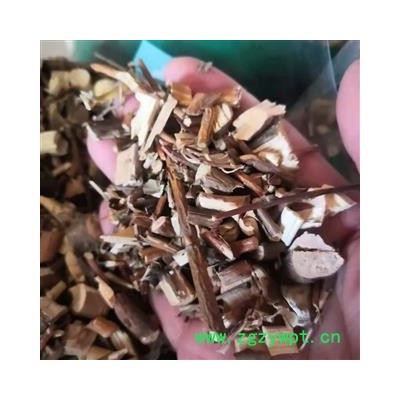 安祁名药柽柳 柳树枝 柳枝