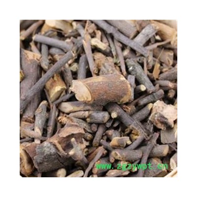 诺源药材行正品野生广寄生 桑寄生