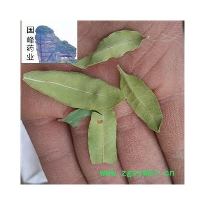 罗布麻叶 大叶 青色 足干 好统货 国峰药业 重在品质 产地 新疆维吾尔自治区