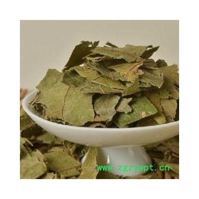 布渣叶 统 产地 广东省