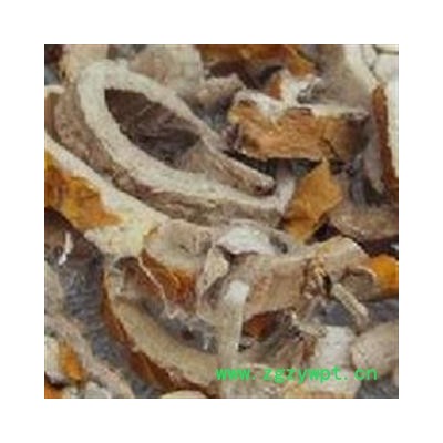 桑白皮 统货 产地 四川省