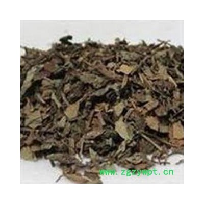 中药材 五爪金龙 走游草