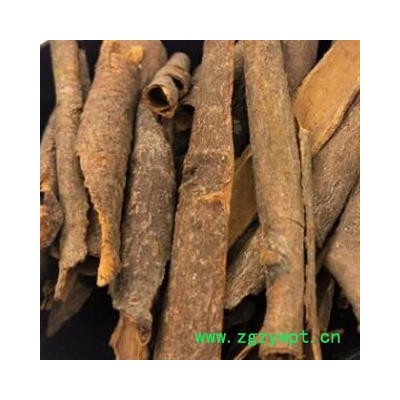 肉桂 统 产地 广西壮族自治区安国市场批发零售大全