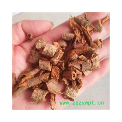 安祁名药紫荆皮  裸枝树 紫珠