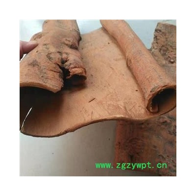 安祁名药正品油桂 紫油桂 精选去皮紫油桂