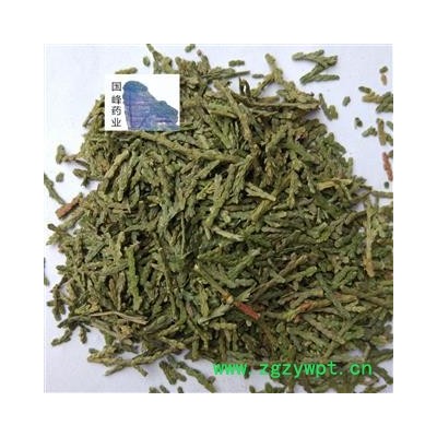侧柏叶 侧百叶 青色 低价销售 全干 无虫蛀 国峰药业 重在品质 产地 山东省