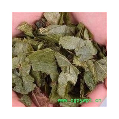 淫羊藿 制淫羊藿 新鲜羊油 没有异味 假一赔十 产地 四川省