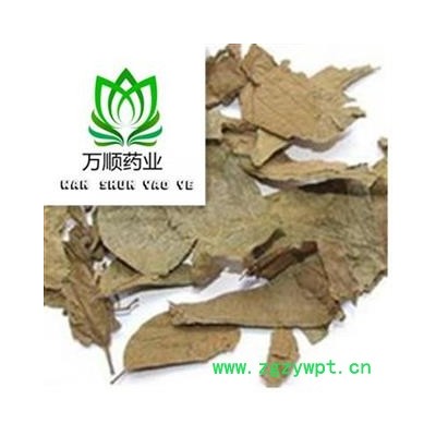 布渣叶选货 质量好 价格低 产地直销  产地 广东省