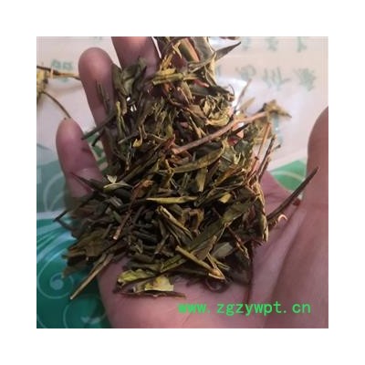 诺源药材行中药材山香圆叶  山香  千打锤