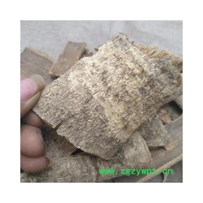 安祁名药正品喜树皮