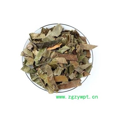 枇杷叶 枇杷叶精选货 产地 山东省