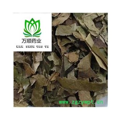 精品选装枇杷叶 新货颜色好 质量好 价格低 规格齐全 产地 浙江省