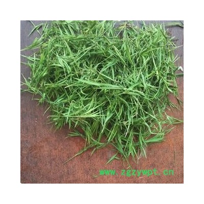 安祁名药竹叶  淡竹叶  竹叶茶